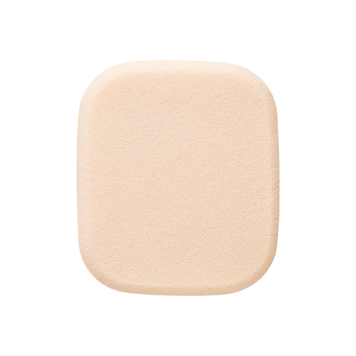 スポンジ(タンプードルエクラⅡ)