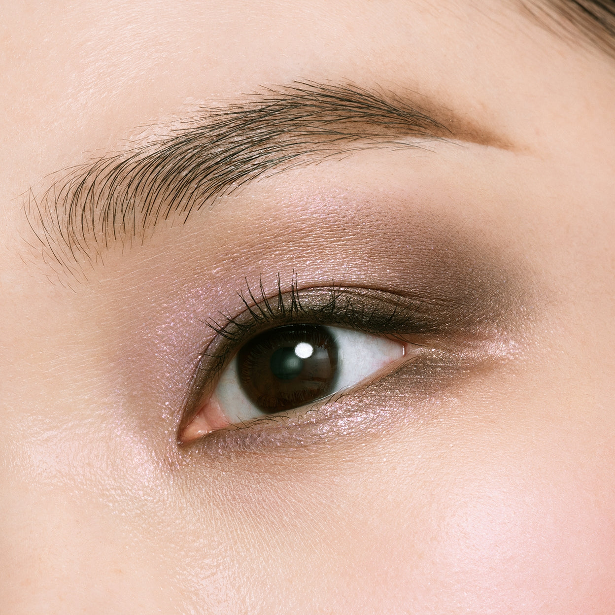 オンブルクルールクアドリ 504 HOLIDAY 2025