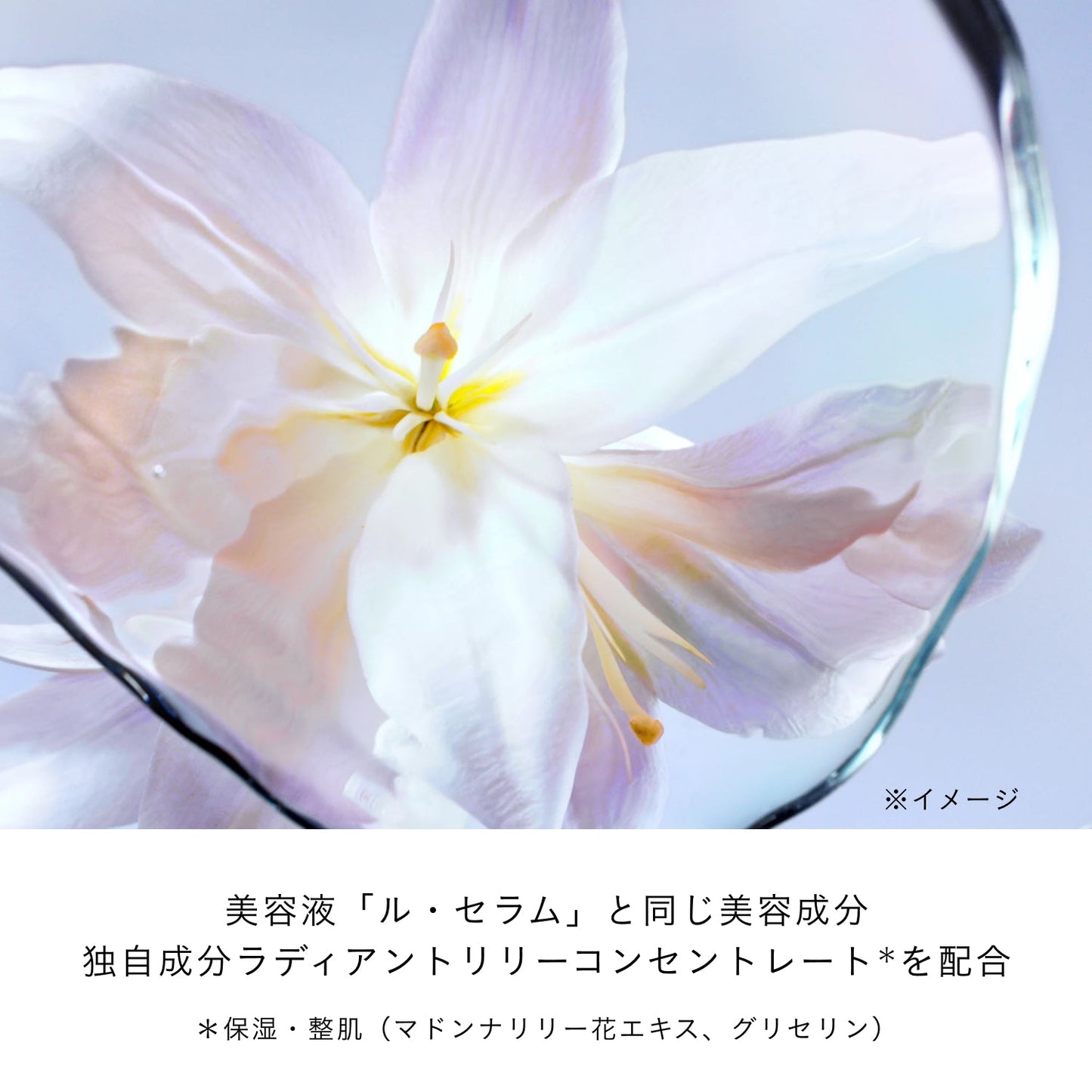 アンベリスールデクラ
