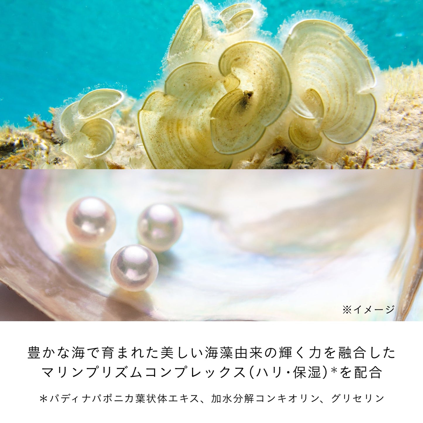 アンベリスールデクラ