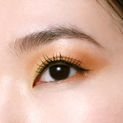 オンブルクルールクアドリ 506 Starry Eyes ＨＯＬＩＤＡＹ ２０２６