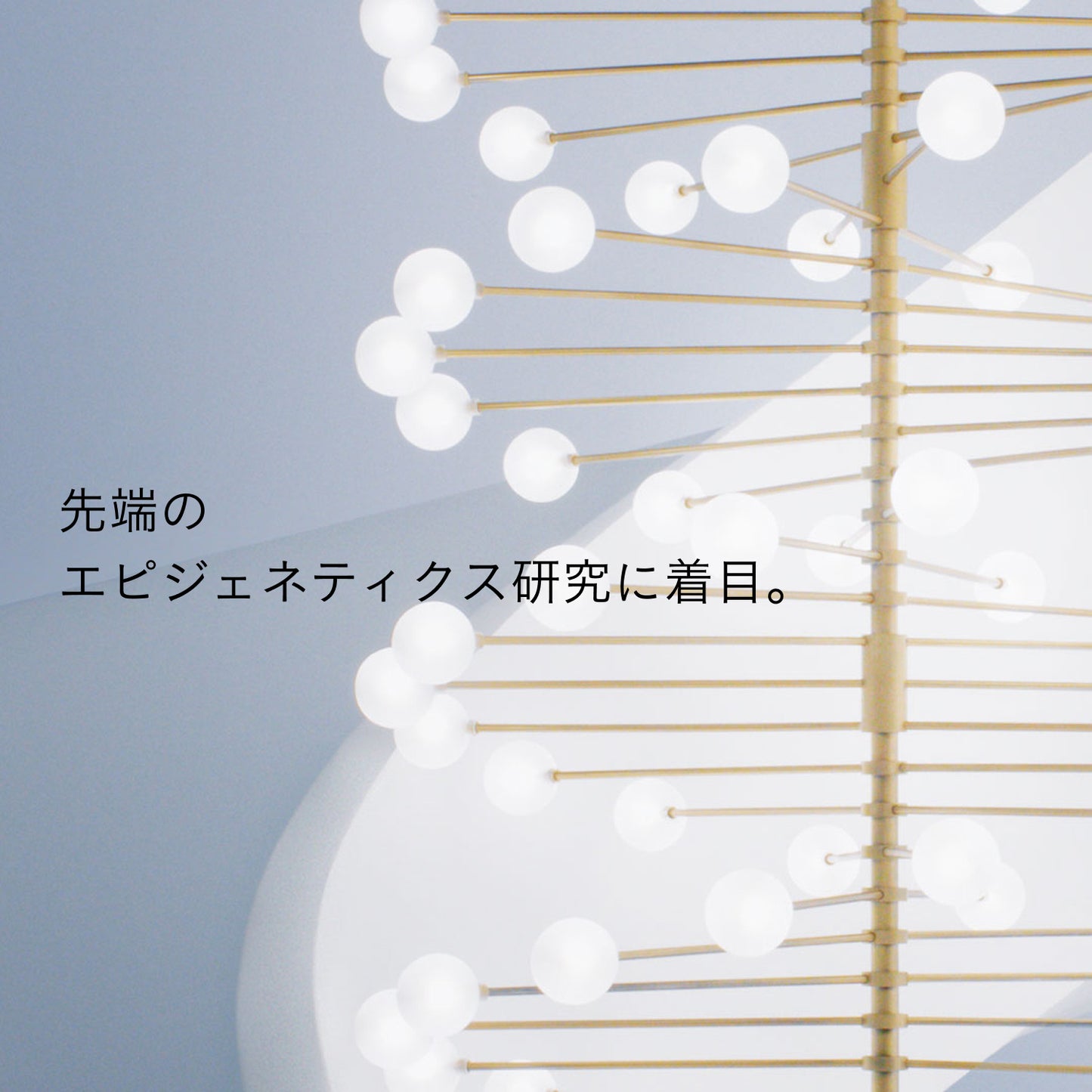 セラムエクラＳ Ⅱ