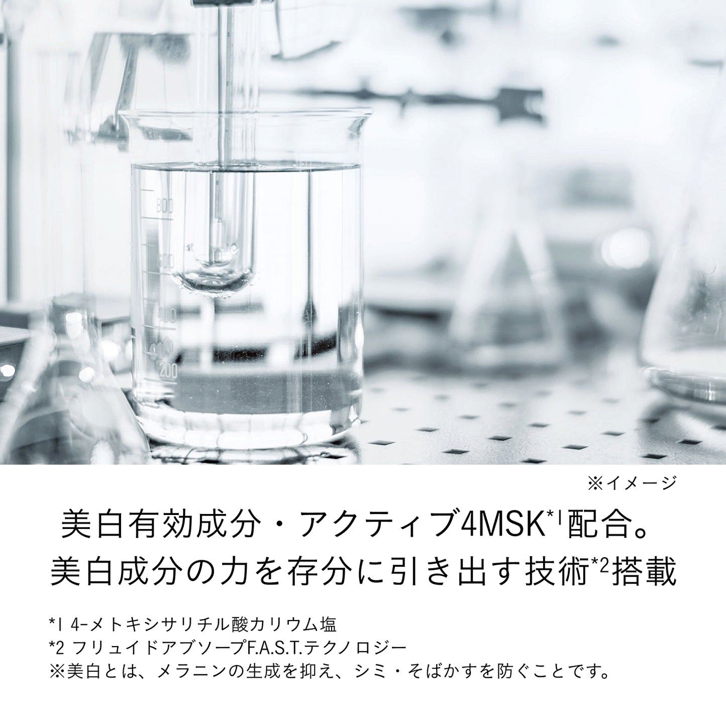 セラムエクラＳ Ⅱ